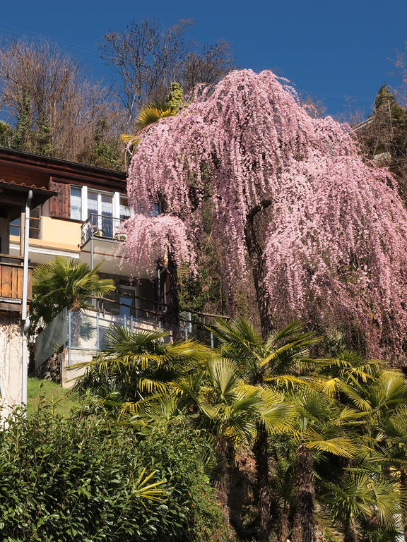 Апартаменты Casa Sibylle Bei Локарно Экстерьер фото